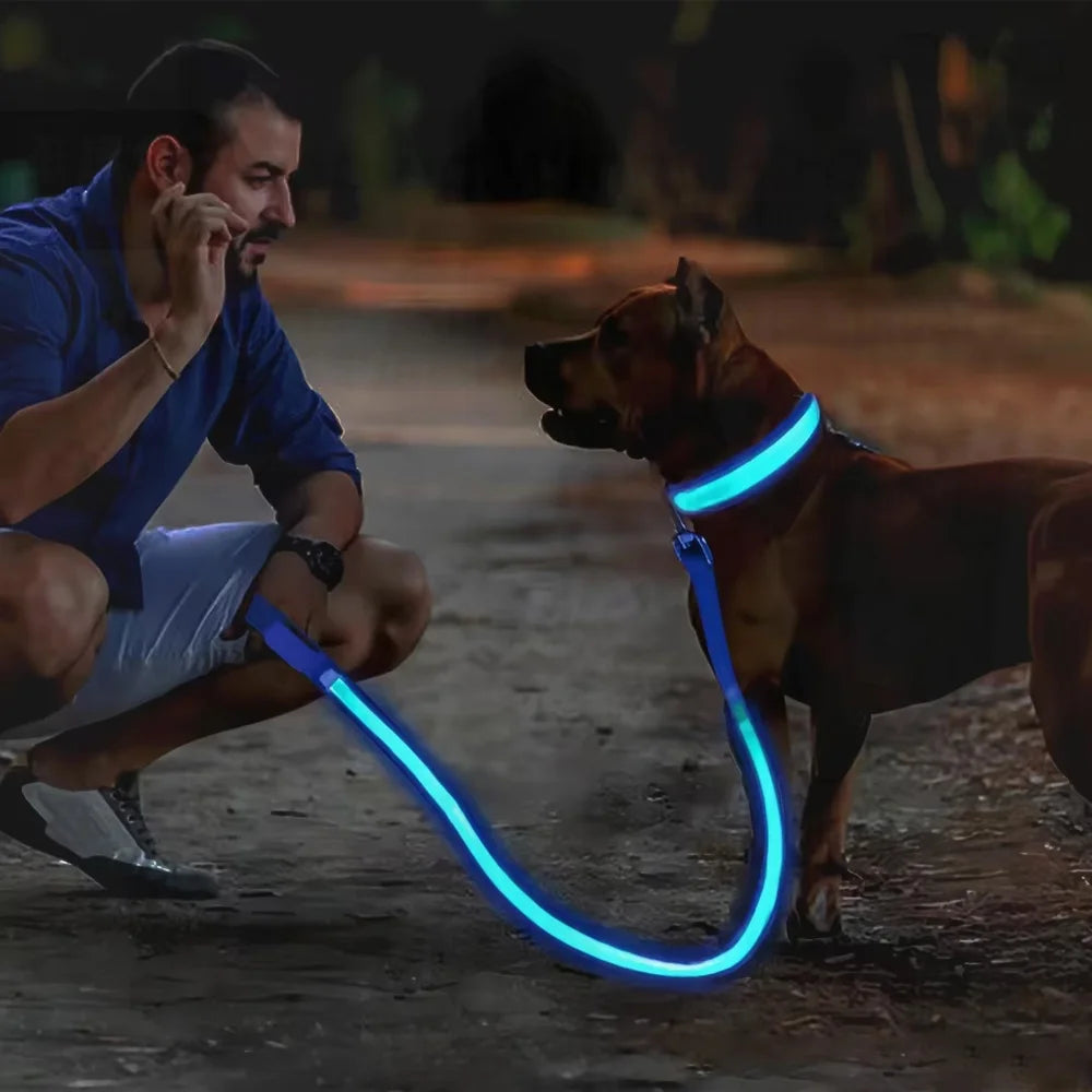 LED Glowing Dog Collar